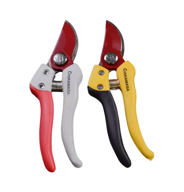 Chikamasa pruner (Made in Japan)